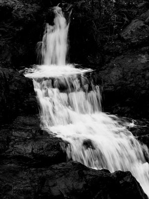 Hidden Falls B and W 1.jpg