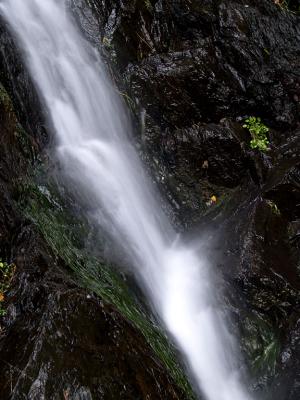 Small Waterfall 1.jpg