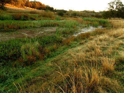 Miners Ravine Creek 4.jpg