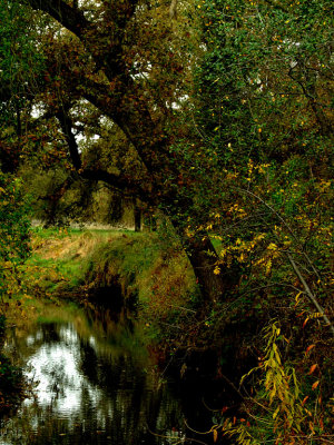 Linda Creek in Fall.jpg