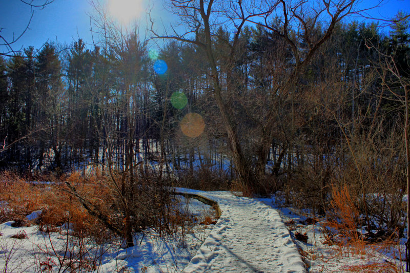 HDR Landscape looking into the sun<BR>January 21, 2010