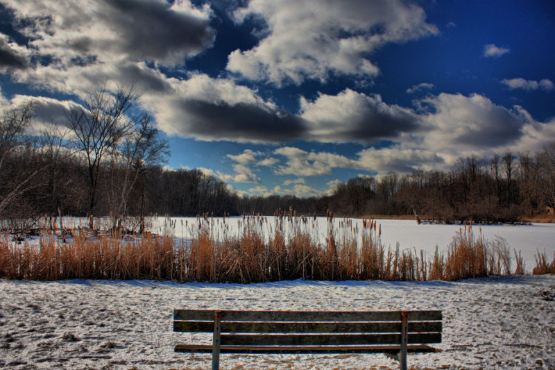 Pond Landscape in HDR<BR>February 1, 2010