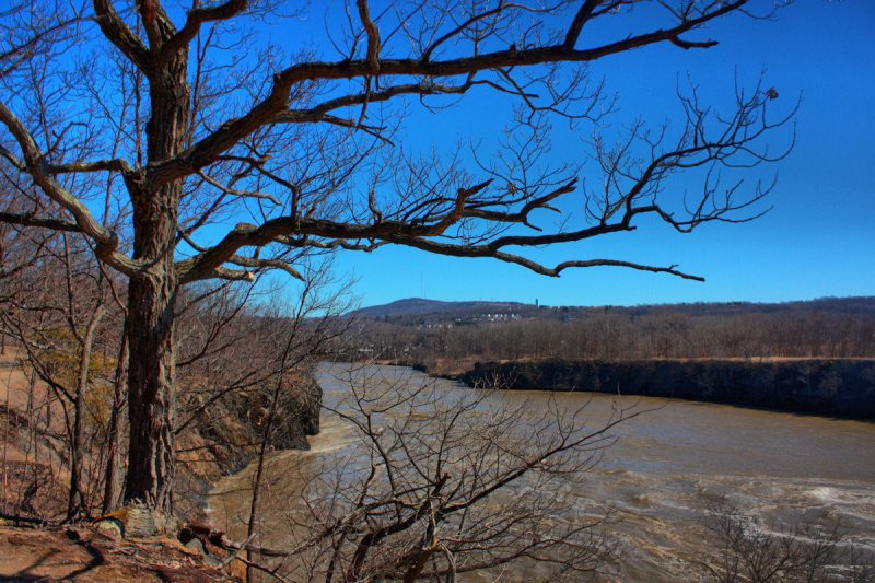 Muddy River in HDR<BR>March 16, 2010