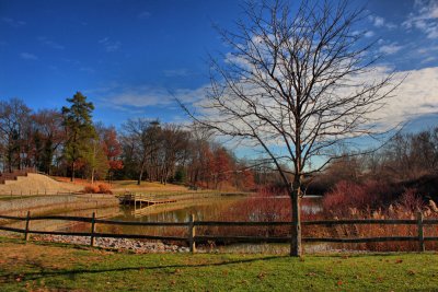 Park in HDRNovember 24, 2009