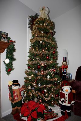Christmas TreeDecember 15, 2009