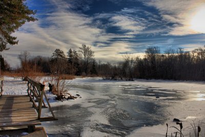 Icy Pond Landscape<BR>January 6, 2010