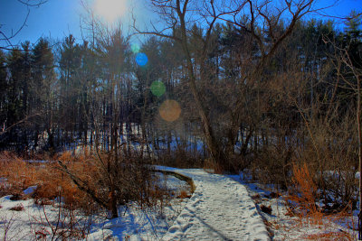 HDR Landscape looking into the sunJanuary 21, 2010