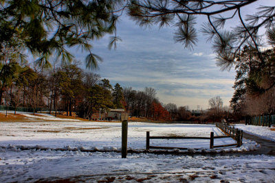 Park Landscape in HDR<BR>January 22, 2010