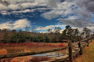 Landscape in Park in HDR<BR>January 26, 2010