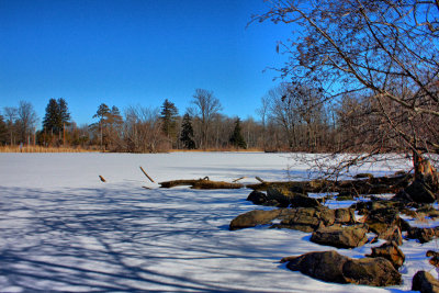 Pond Landscape in HDR<BR>February 7, 2010