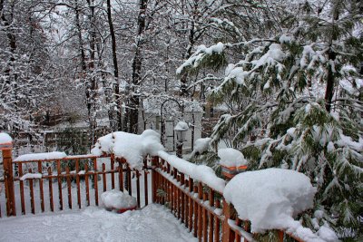 SnowstormFebruary 24, 2010