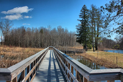 Timber Bridge in HDR<BR>March 24, 2010
