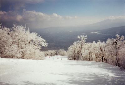 Skiing at Bromley