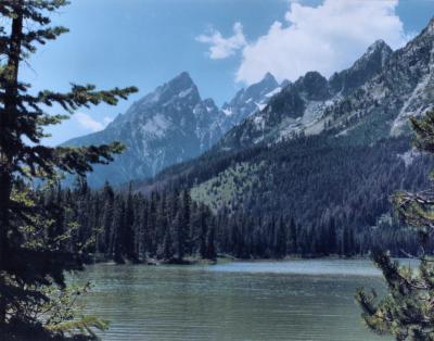 Grand Tetons