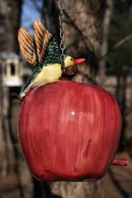 Apple Bird Feeder