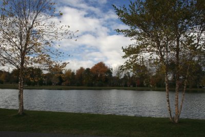 Park ColorsNovember 7, 2007