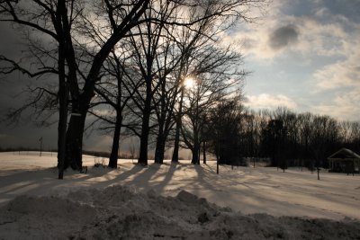 Winter Scene