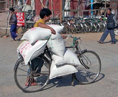 Mamayo - Boy and loaded bicycle