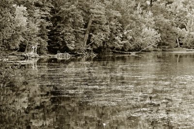 LAC HERTEL EN ETE