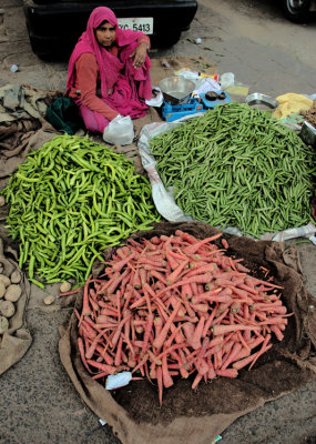 MARCHANDE DE LEGUMES (JAIPUR)