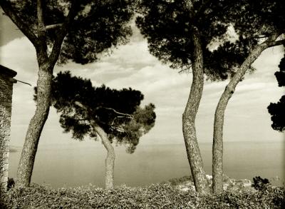 Taormina LES PINS LA MER.jpg