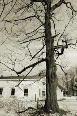 P1020811n.jpg