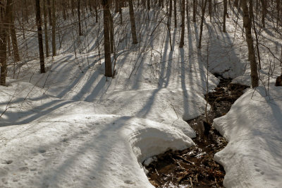 SENTIER DU RUISSEAU