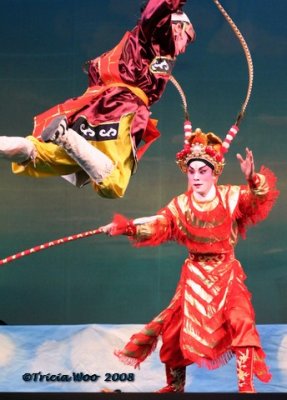 Colour and Glamour of Chinese Opera 2008