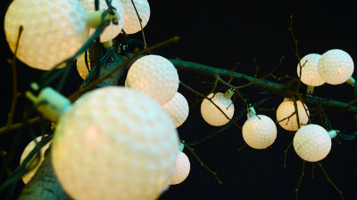 g3/56/683656/3/120671264.xwSnIWFy.jpg