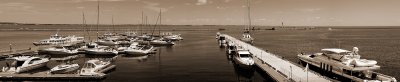 Port of Odessa (sepia).jpg