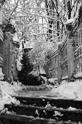 winter_1.jpg