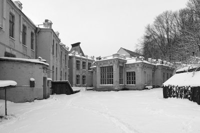 winter_5.jpg