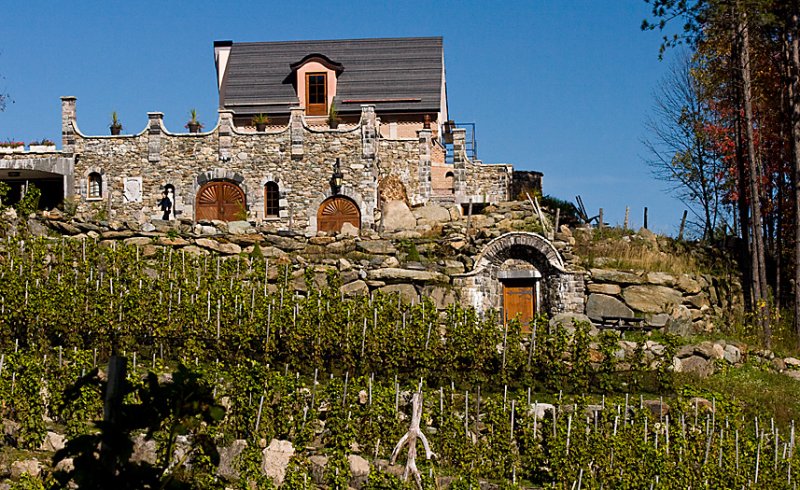 Vignoble St-Agns, Sutton, Qc