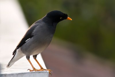 g3/56/689056/3/119860613.yAN4hUbh.jpg