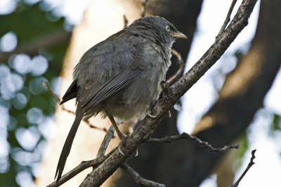 g3/56/689056/3/96492176.CwSgaZET.jpg
