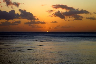 IMG_1251.jpg