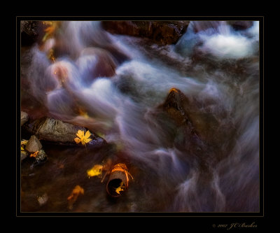 Flowing Leaves