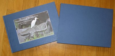 Feathered Wonders - Our first avian book