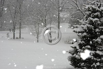 jspb_DSC_0008-F.jpg