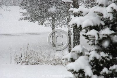 jspb_DSC_0029-F.jpg