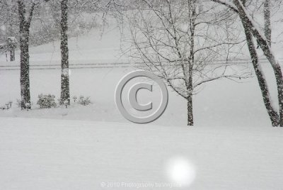 jspb_DSC_0032-F.jpg