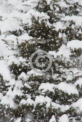 jspb_DSC_0033-F.jpg