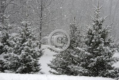 jspb_DSC_0064-F.jpg