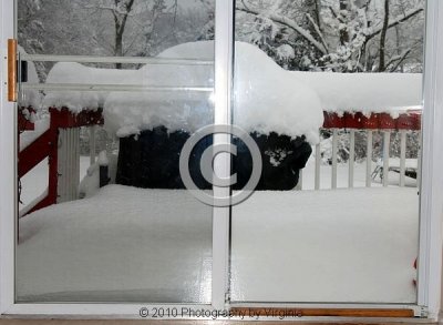February 26, 2010 #1
