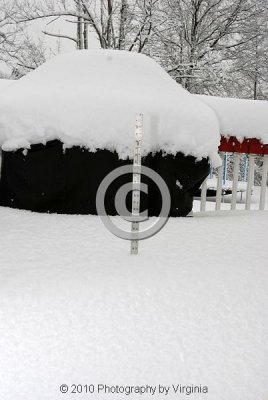 jspb_DSC_0012-F.jpg
