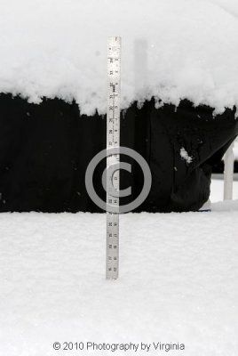 jspb_DSC_0013-F.jpg