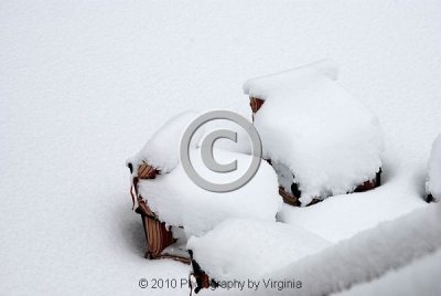 jspb_DSC_0021-F.jpg