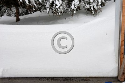 jspb_DSC_0024-F.jpg