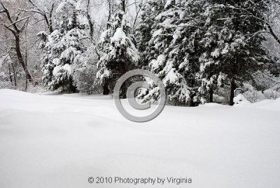 jspb_DSC_0026-F.jpg