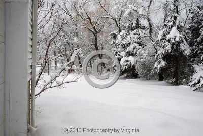 jspb_DSC_0032-F.jpg